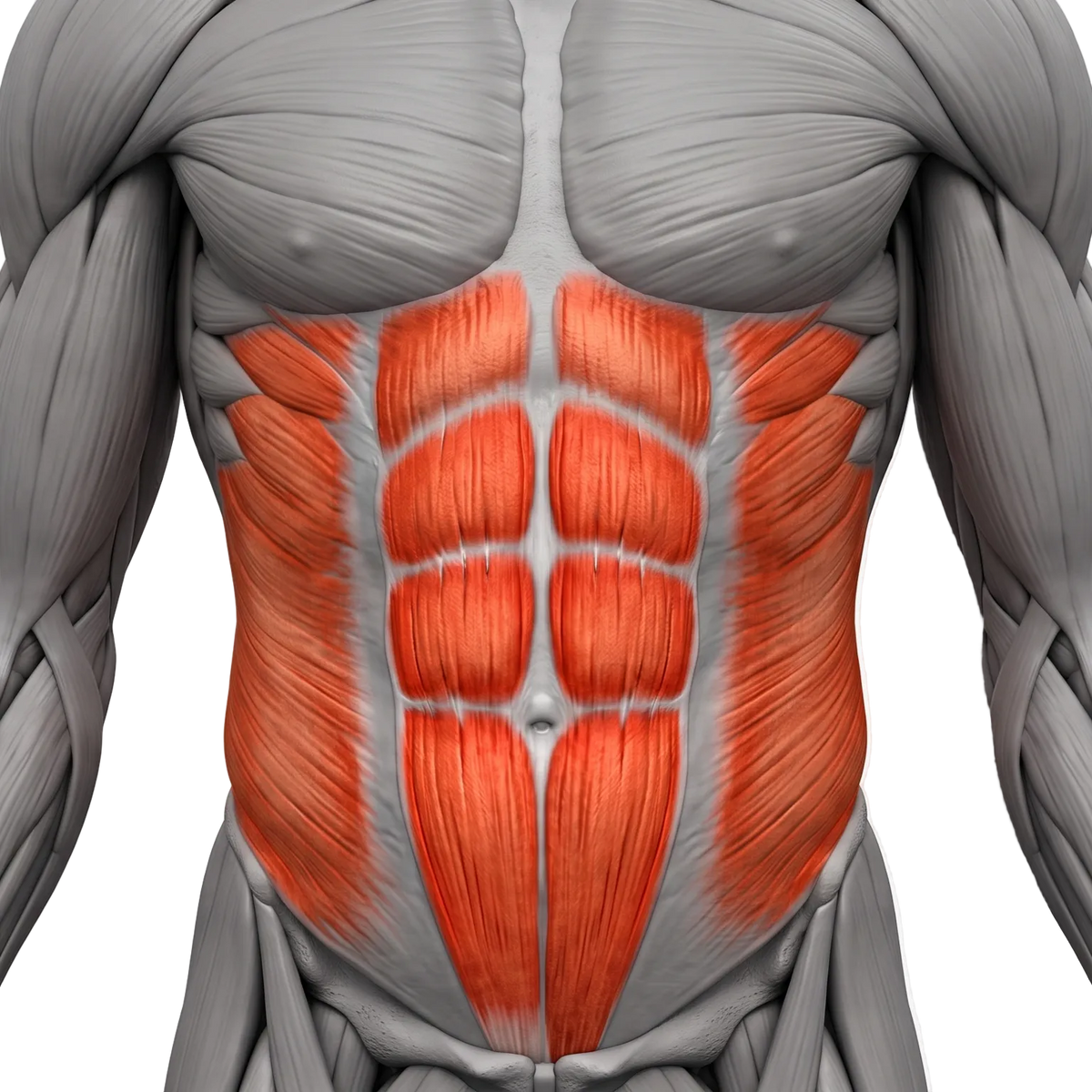 ABDOMINAL