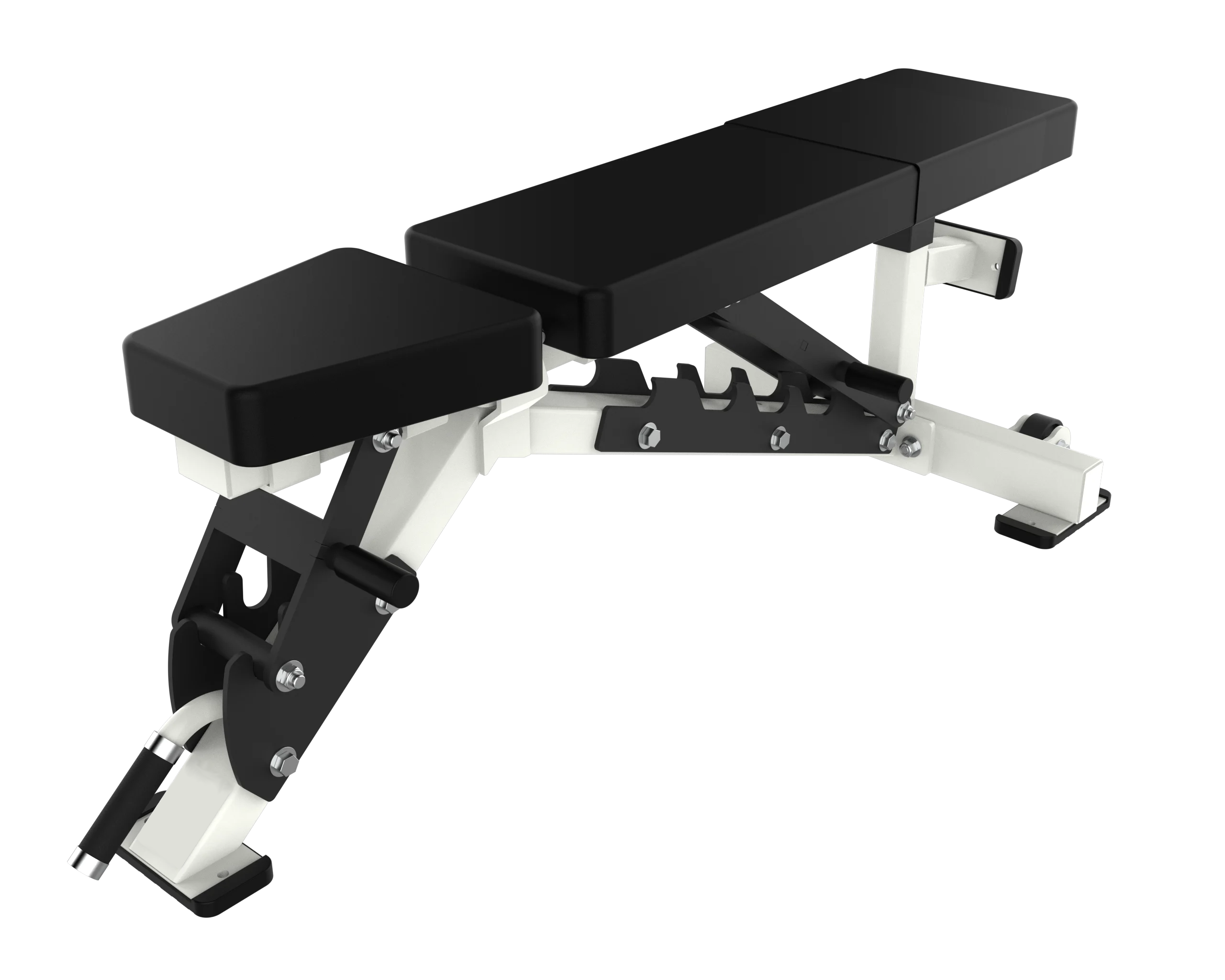 ARS | Alpha Multi Adjustable Bench Ladder Style
