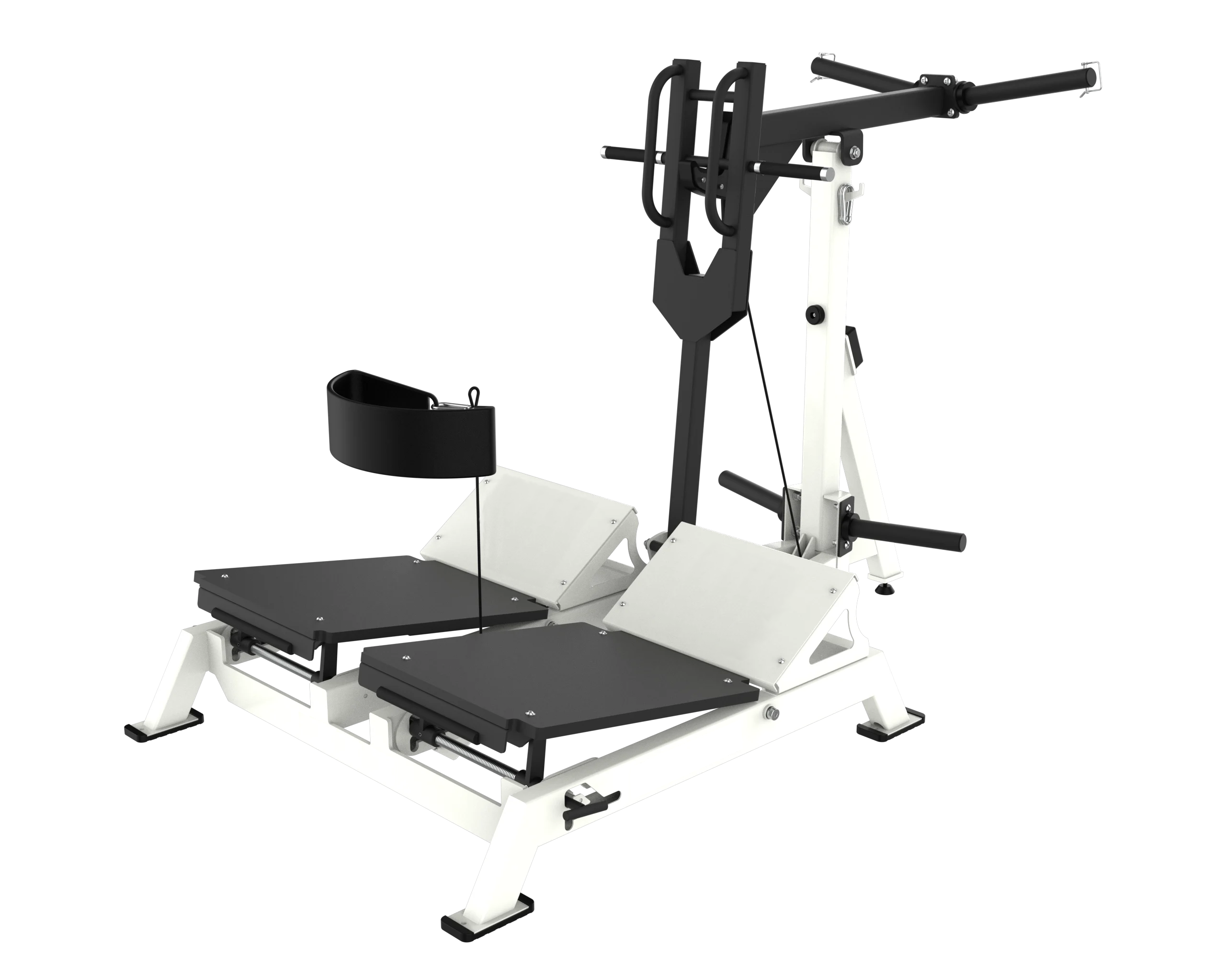 ARS | Belt Squat