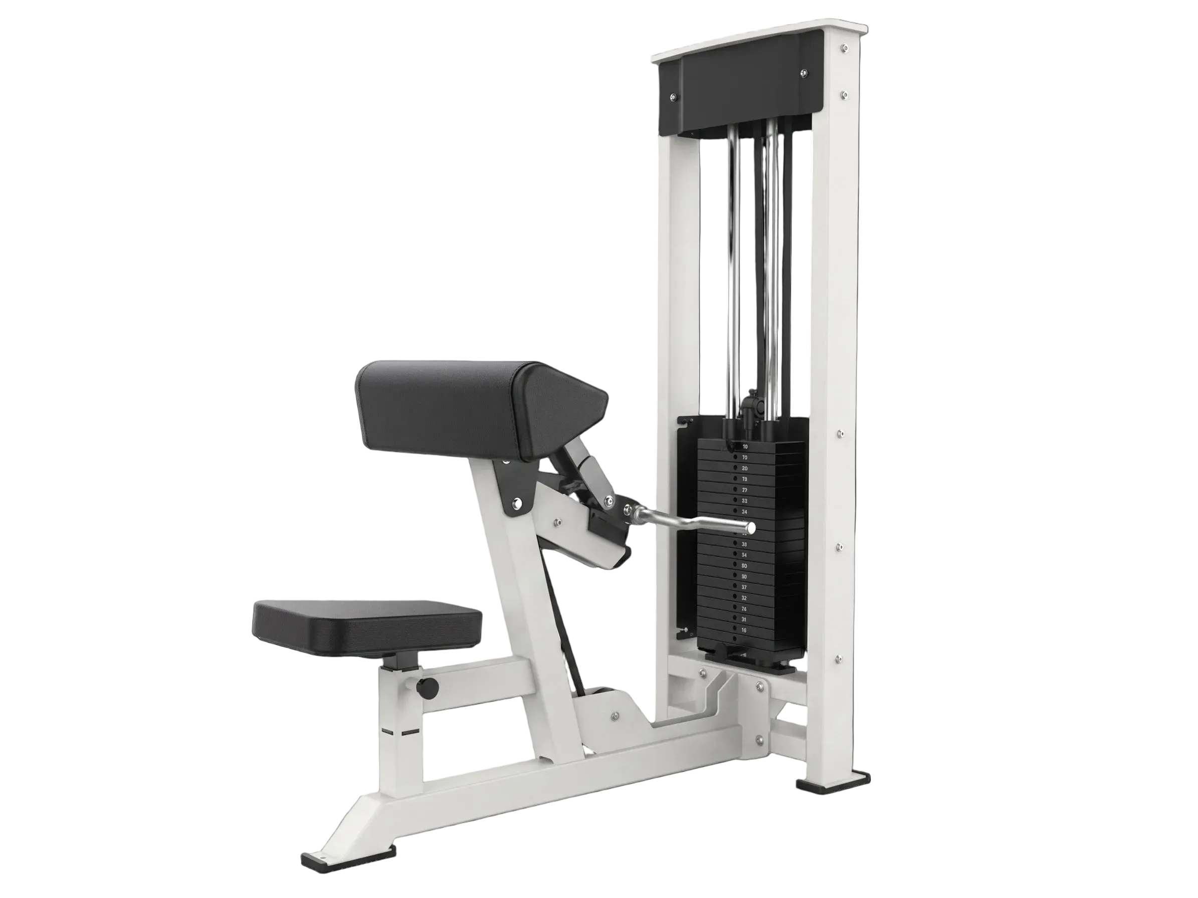 ARS | Selectorized Bicep Curl