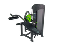 PRM | Prone Leg Curl