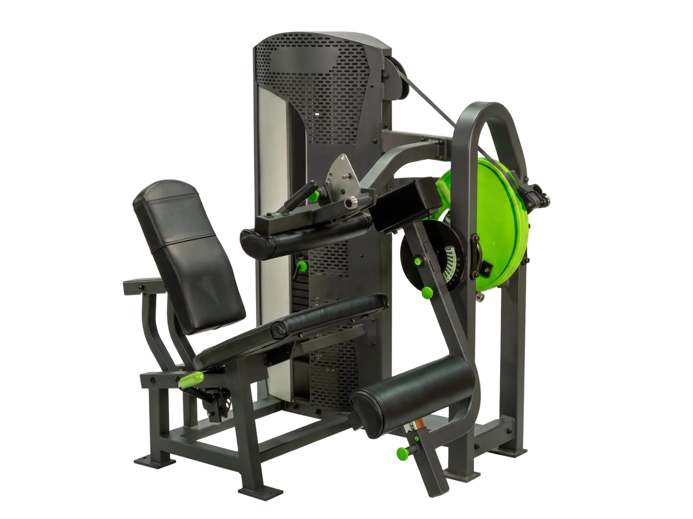 PRM | Seated Leg Curl