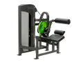 PRM | Low Back Extension