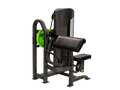 PRM | Arm Curl