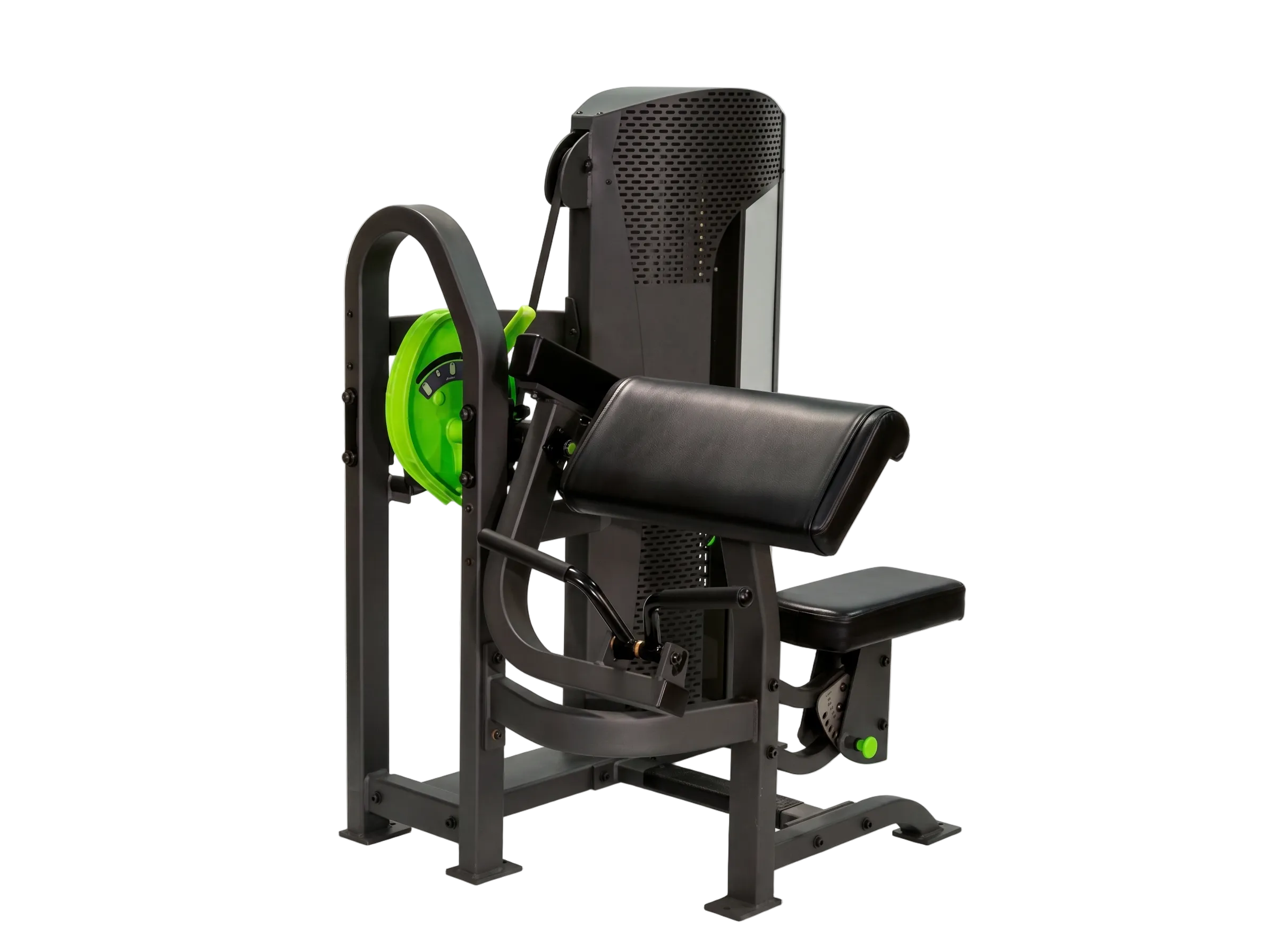 PRM | Arm Curl